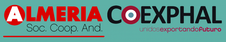 Logo of Aula Virtual